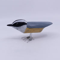 Nuthatch