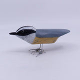 Nuthatch