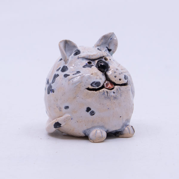 Fat Cat (White with Black Spots)