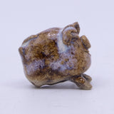 White Pig