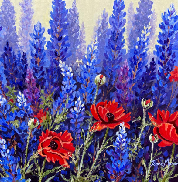 Lupins & Poppies