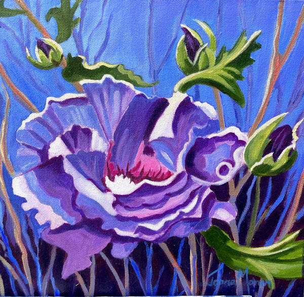 Rose of Sharon (Blue Hibiscus)