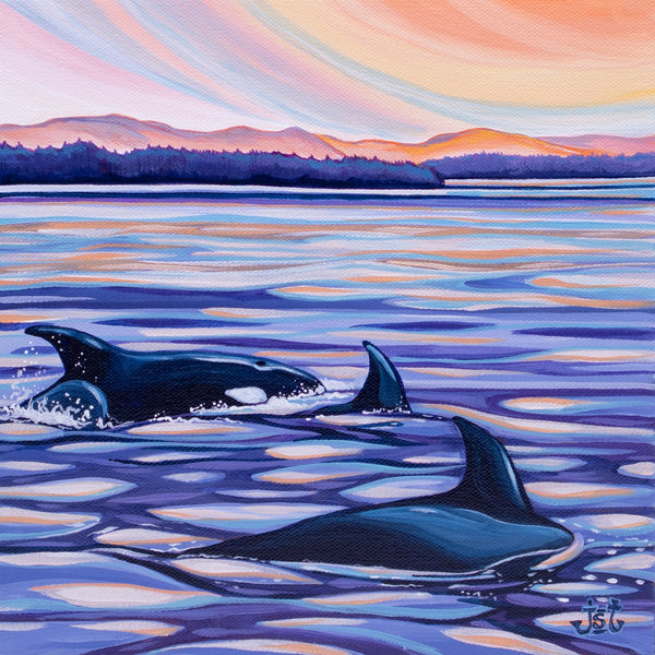 The Joy of the Journey