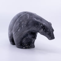 Polar Bear and Cub