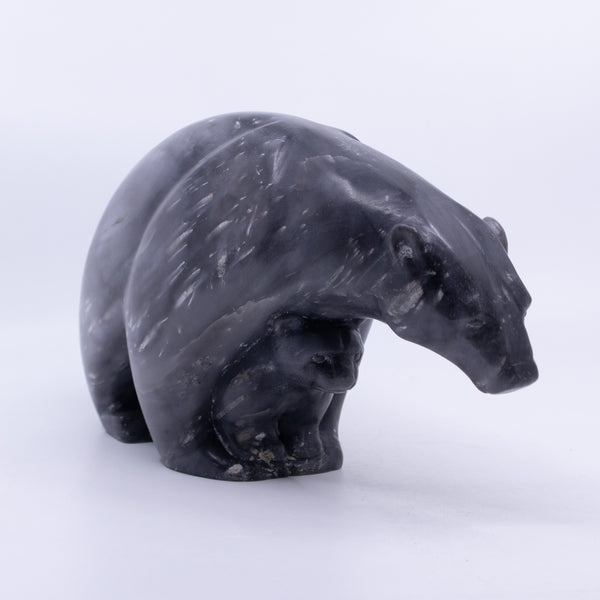 Polar Bear and Cub