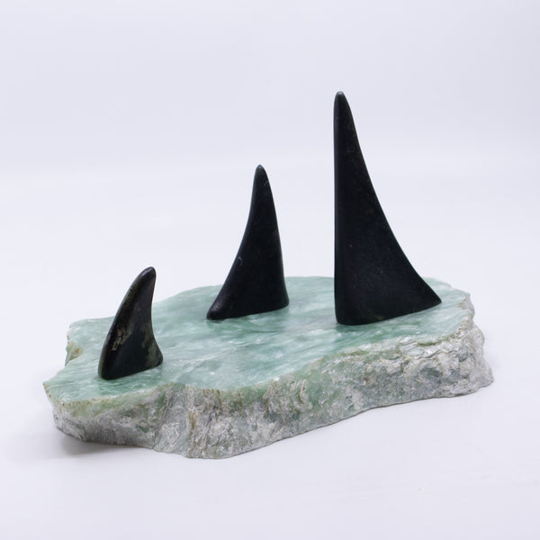 Orca Fins