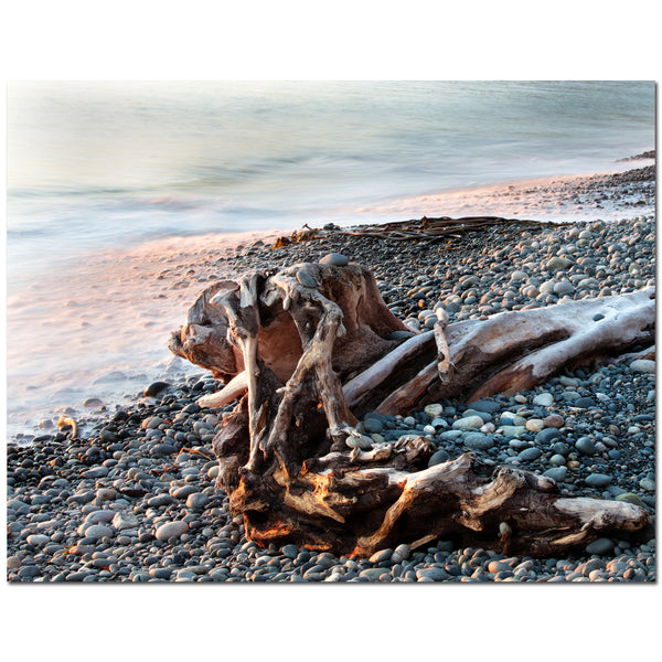 Enchanted (framed)