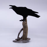 Driftwood Crow