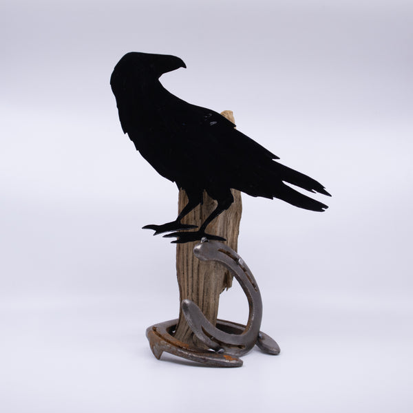 Driftwood Crow
