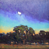 Evening, West Saanich Road (framed)