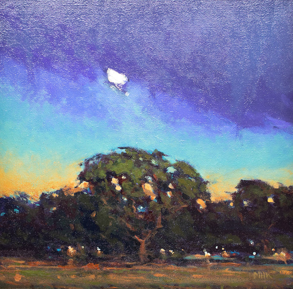 Evening, West Saanich Road (framed)