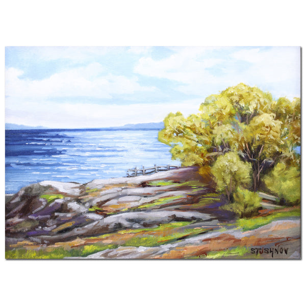 Late Summer, Cattle Point (framed)