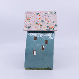 Turquoise House with the Freckled Roof