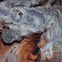 Driftwood #7 - Labyrinth