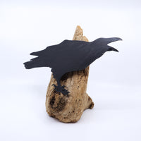 Driftwood Crow