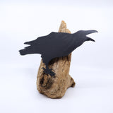 Driftwood Crow #3