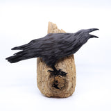 Driftwood Crow